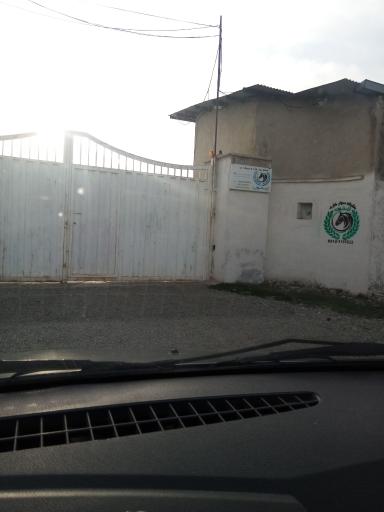 عکس باشگاه سوارکاری زیتون