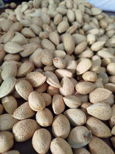 عکس کاروانسرا فرزاد