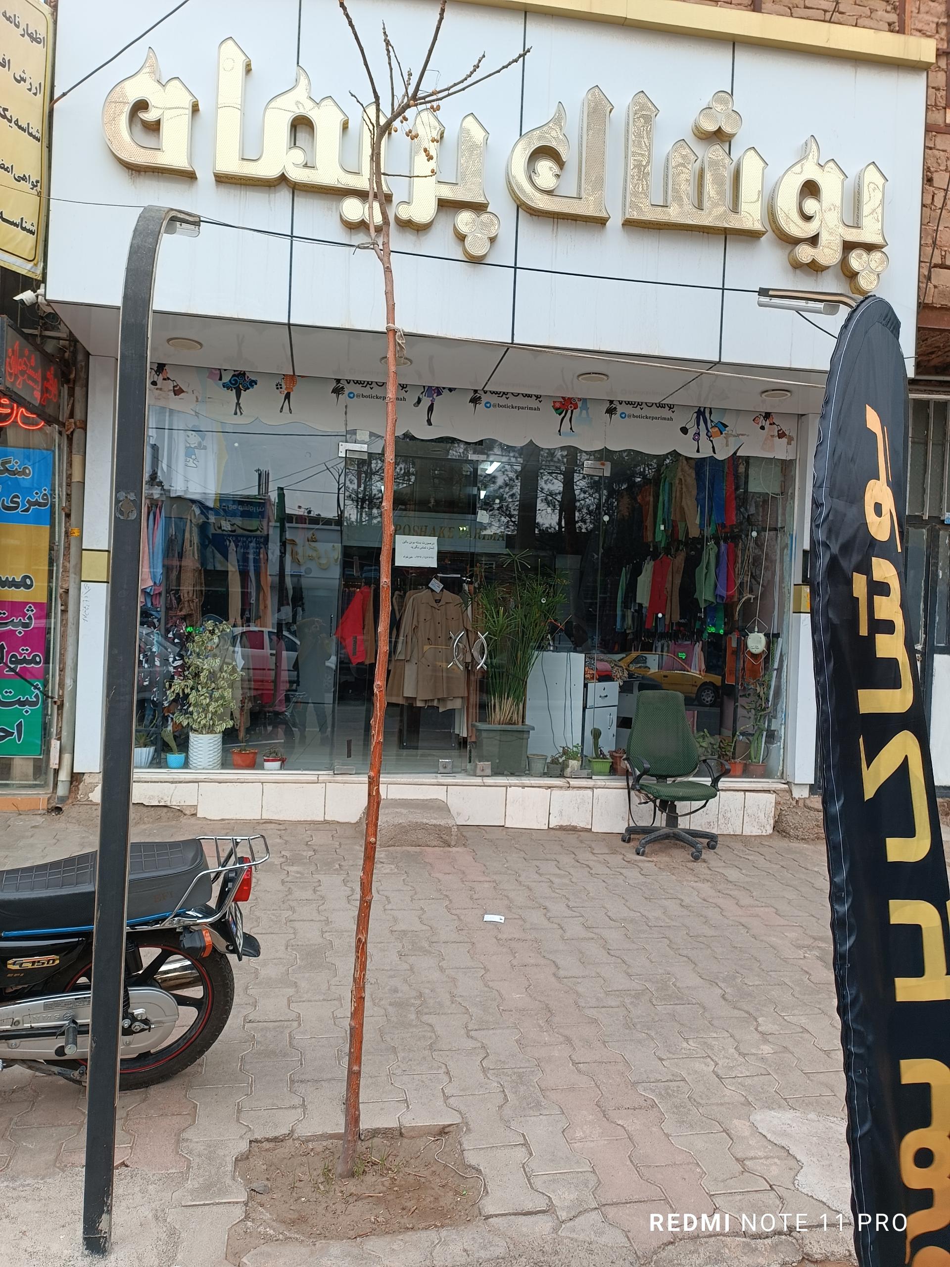 عکس پوشاک پریماه