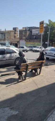 عکس  22بهمن 4/48