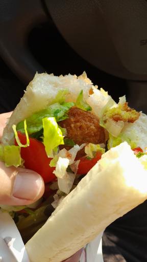 عکس فلافل معرکه