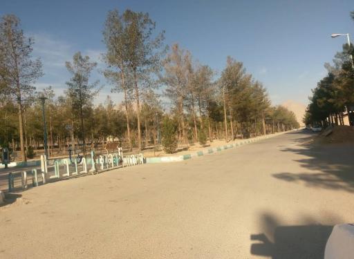 عکس پارک جنگلی