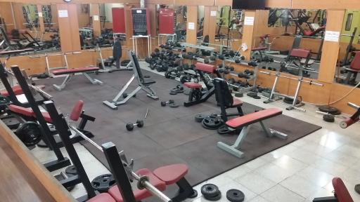 عکس باشگاه بدنسازی شهید محمدی