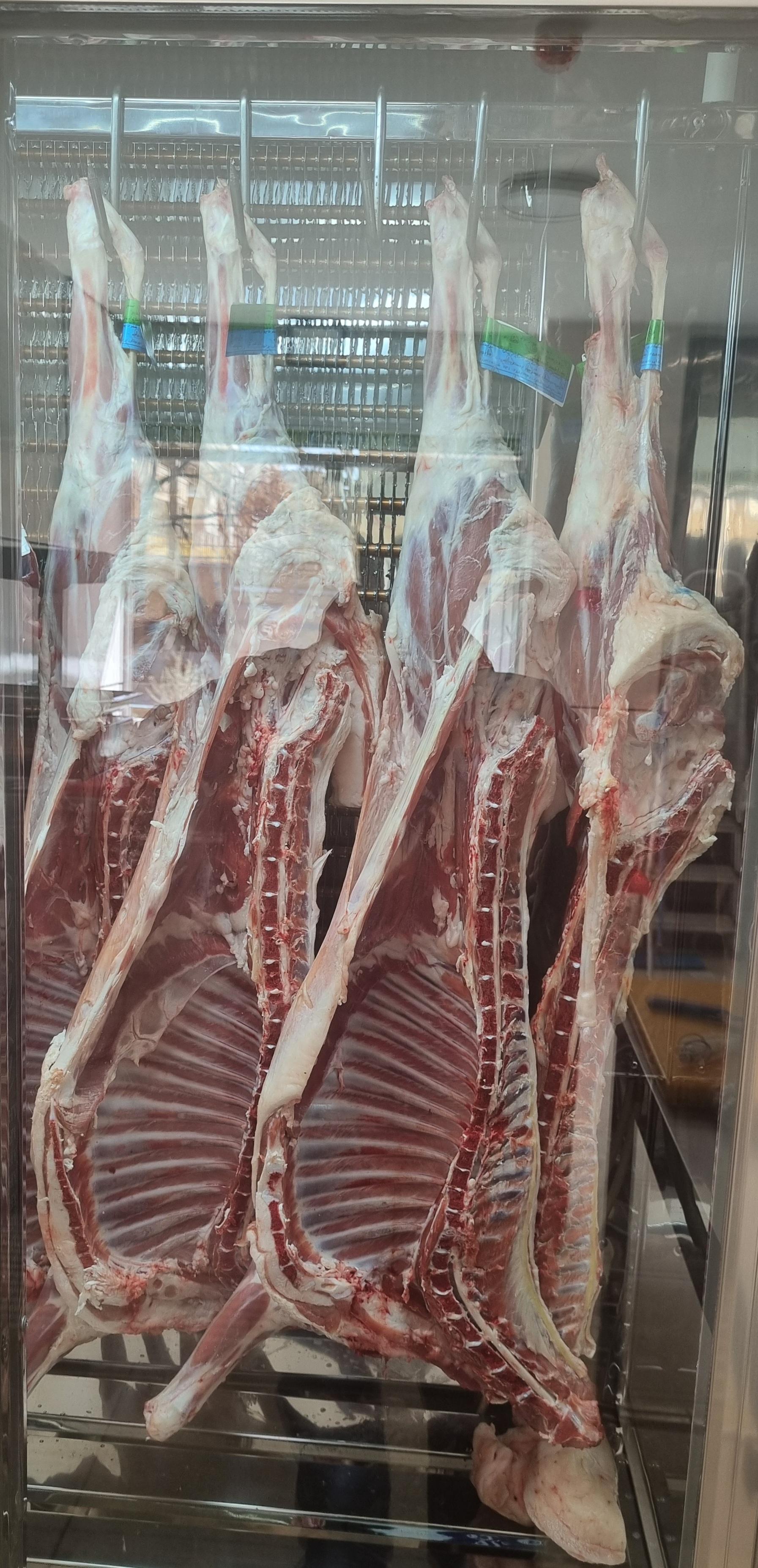 عکس گوشت فروشی ایلیا