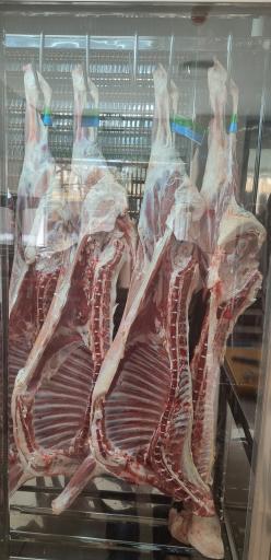 عکس گوشت فروشی ایلیا