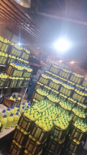 عکس آبگیری فیض الهی