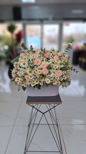 عکس گل وحید