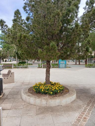 عکس بوستان نشاط