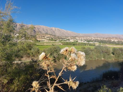 عکس تفرجگاه چمریز 