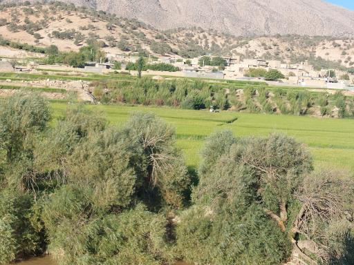 عکس تفرجگاه چمریز 