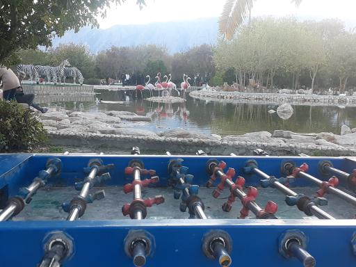 عکس بوستان رفیع