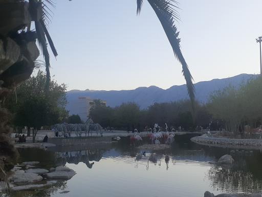 عکس بوستان رفیع