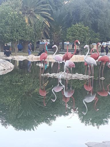 عکس بوستان رفیع