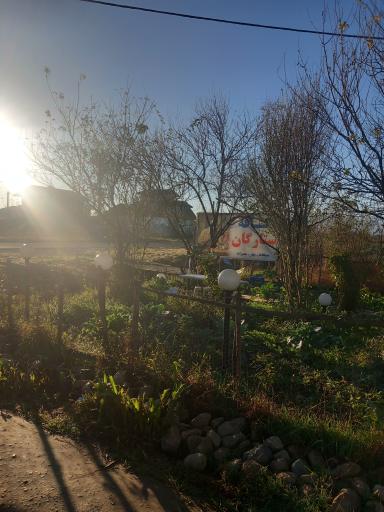 عکس کافه ستارگان