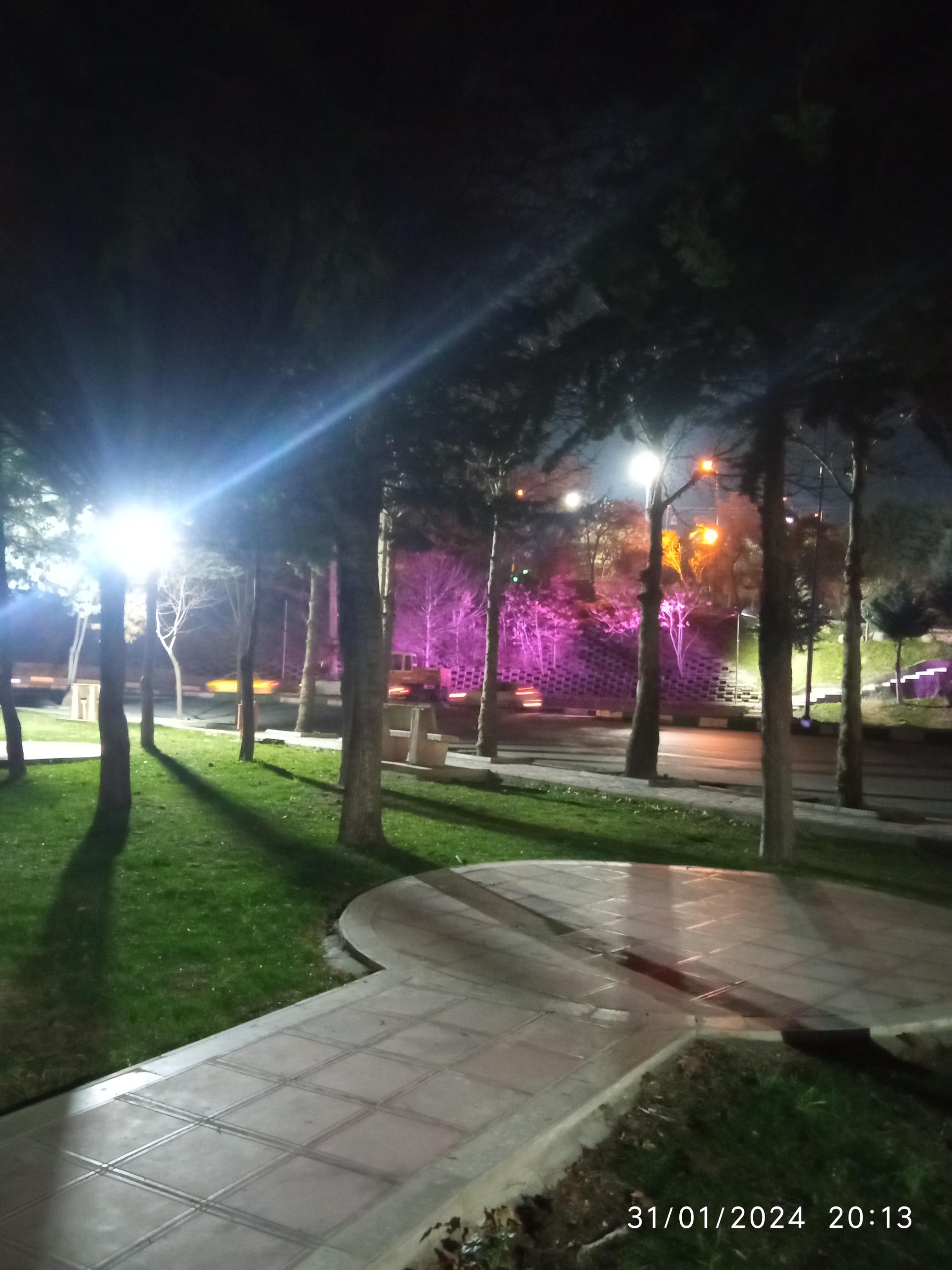 عکس بوستان سید محمد حجازی