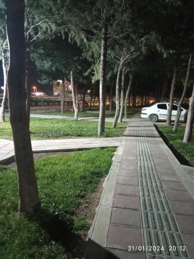 عکس بوستان سید محمد حجازی