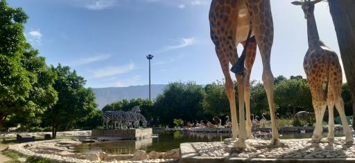 عکس بوستان رفیع