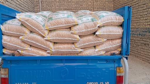 عکس نخود کرمانشاه برادران محمودی