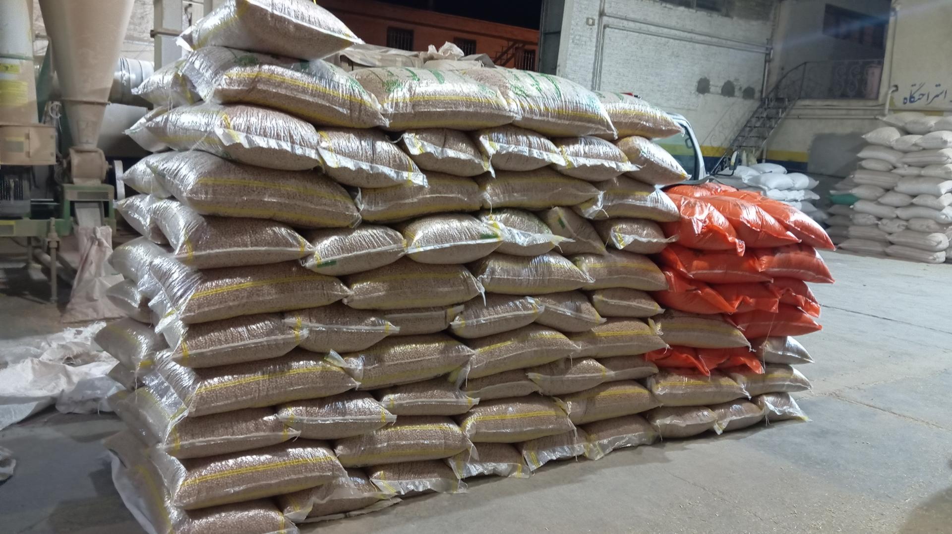 عکس نخود کرمانشاه برادران محمودی