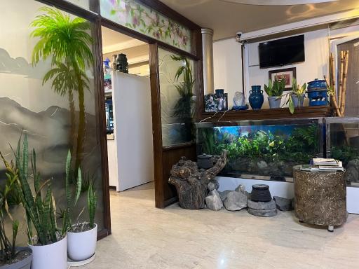 عکس دندان پزشکی دکتر مهدی رواقی