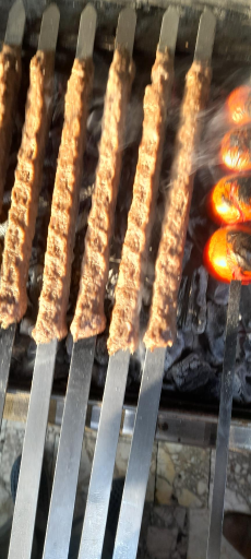 عکس کباب مجید