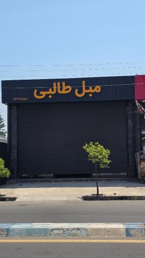 مبل طالبی