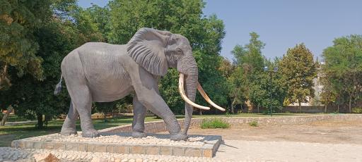 عکس بوستان رفیع