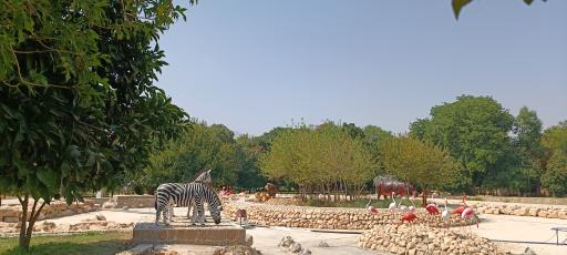 عکس بوستان رفیع