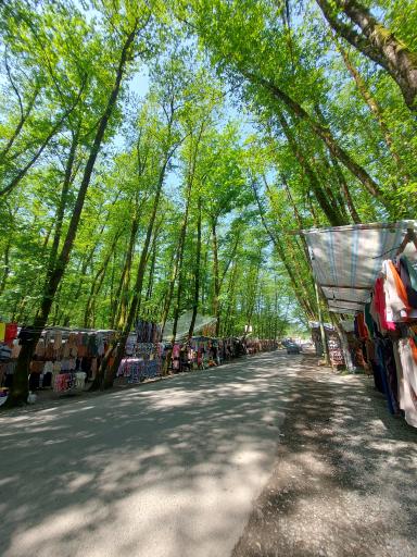 عکس بازارچه دست فروشان جنگل گیسوم