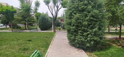 عکس بوستان بهار