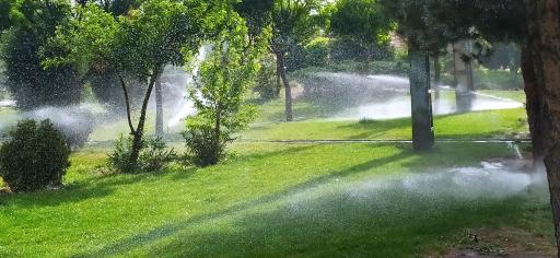 عکس بوستان بهار