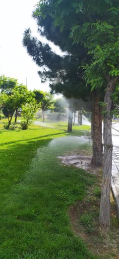 عکس بوستان بهار