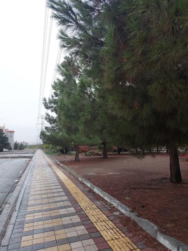 عکس پارک سبزان