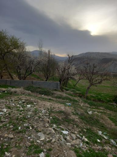 عکس مجموعه گردشگری ایوب پیغمبر