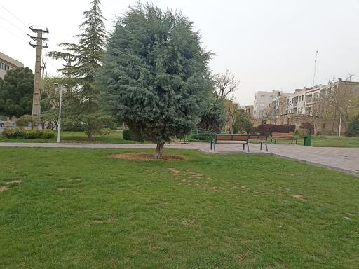 عکس بوستان بهار