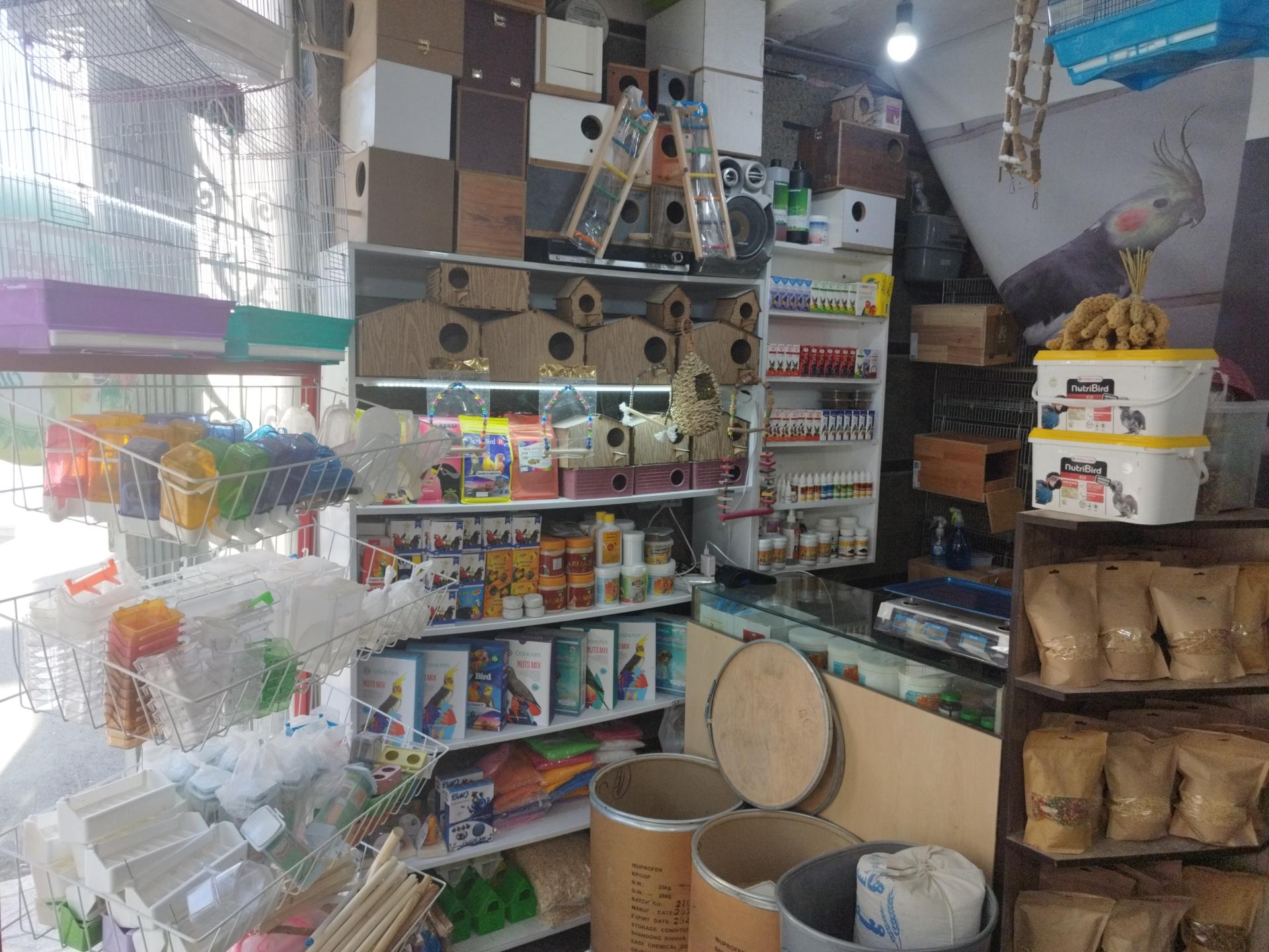 عکس پرنده فروشی شهر لوتینو