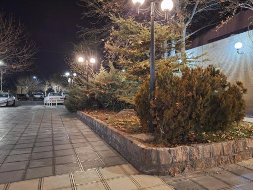 عکس تالار گل مریم