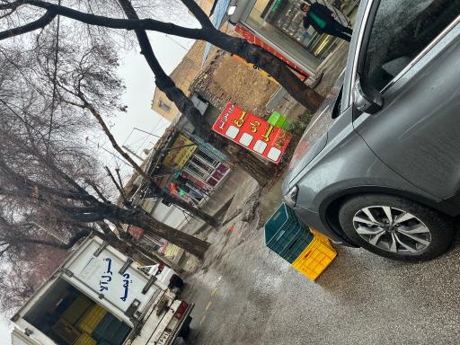 عکس مرغ و ماهی لئو