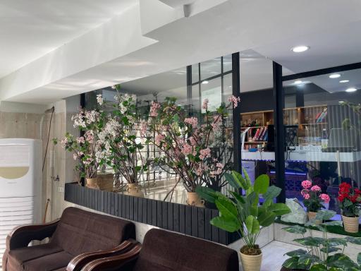 عکس داروخانه خیام