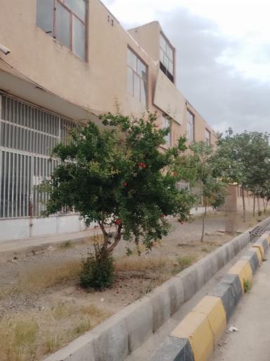 عکس شرکت خدماتی حمایتی کشاورزی