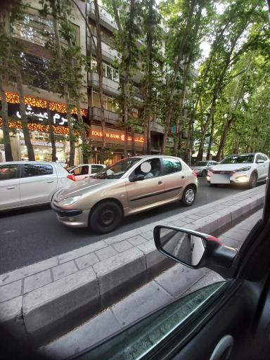 عکس فروشگاه چرم میش