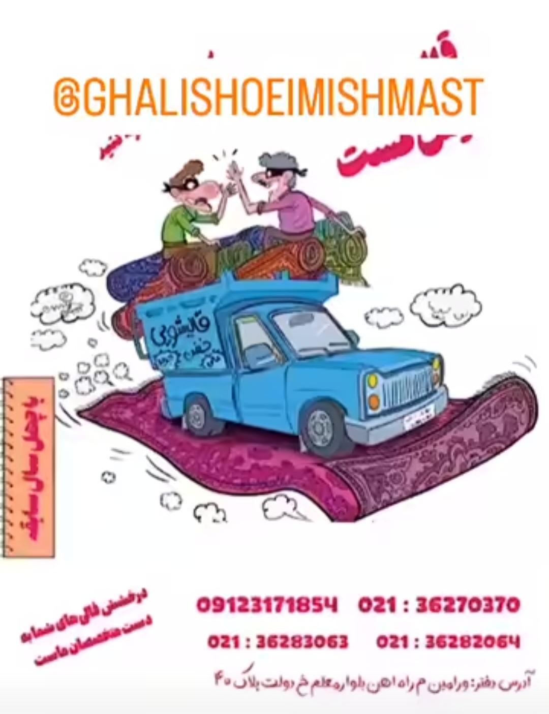 عکس قالیشویی میش مست