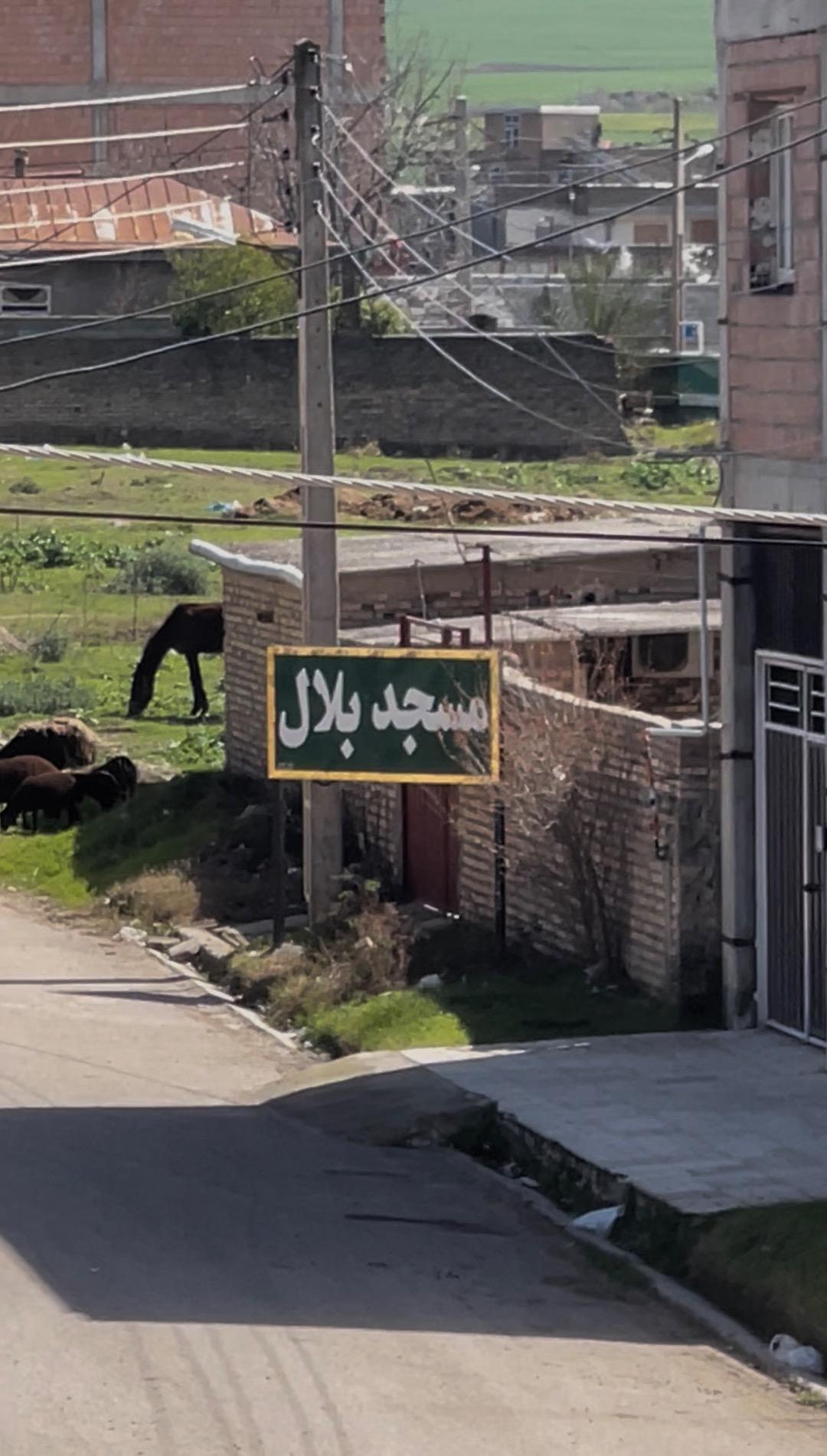 عکس مسجد قلیچ زاده