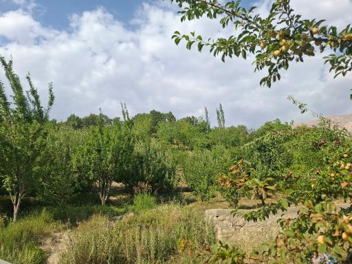 عکس مهمانسرای شهید بیژن قاسمی 