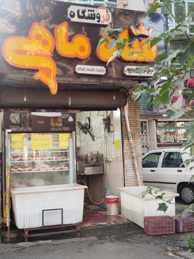 عکس فروشگاه مرغ و ماهی شاه ماهی