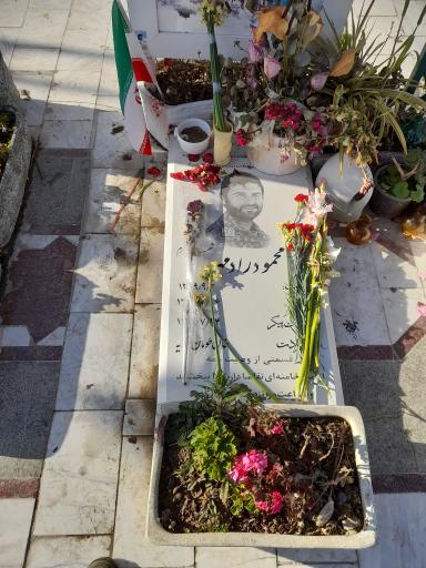 عکس مزار شهید مدافع حرم محمود رادمهر