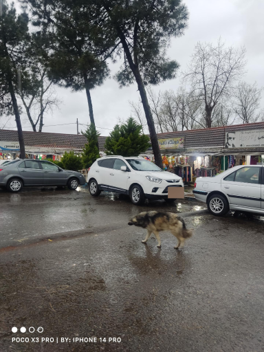 بازار آسیای میانه