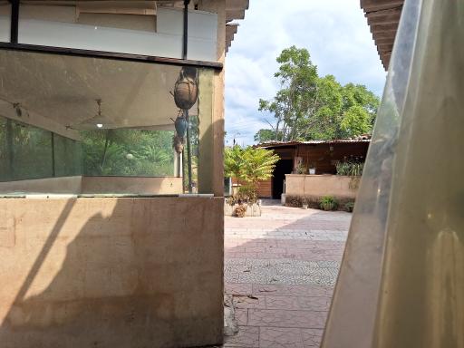 عکس کافه قلیان 