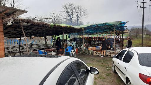 عکس کلبه جنگلی بانوی روستایی