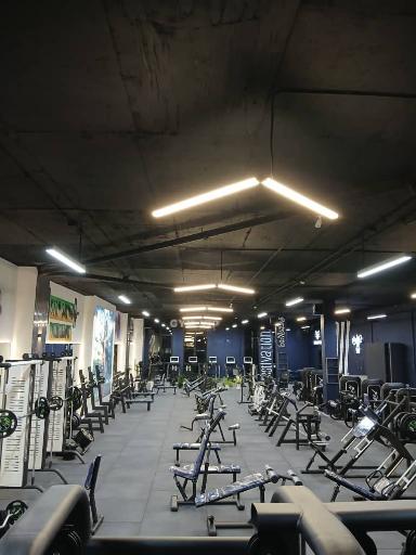 عکس جیم وی آی پی 